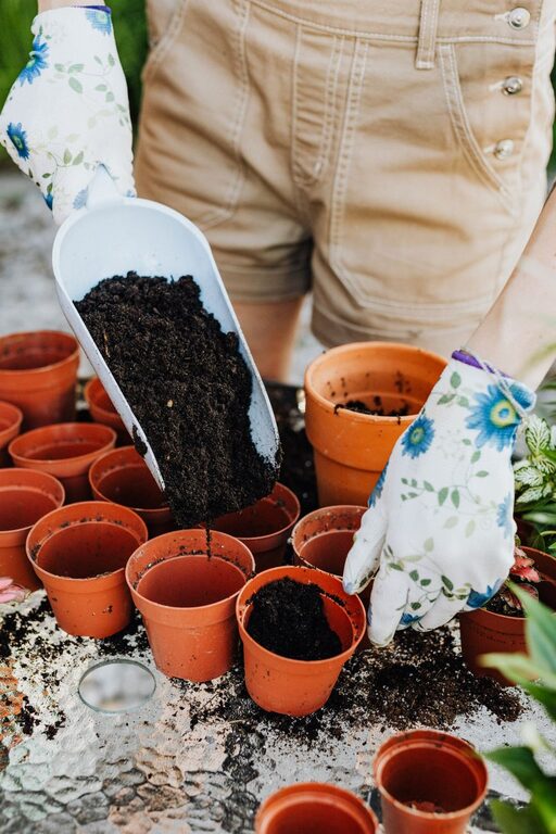 How to Start a Small Home Garden: Essential Tips for Beginners